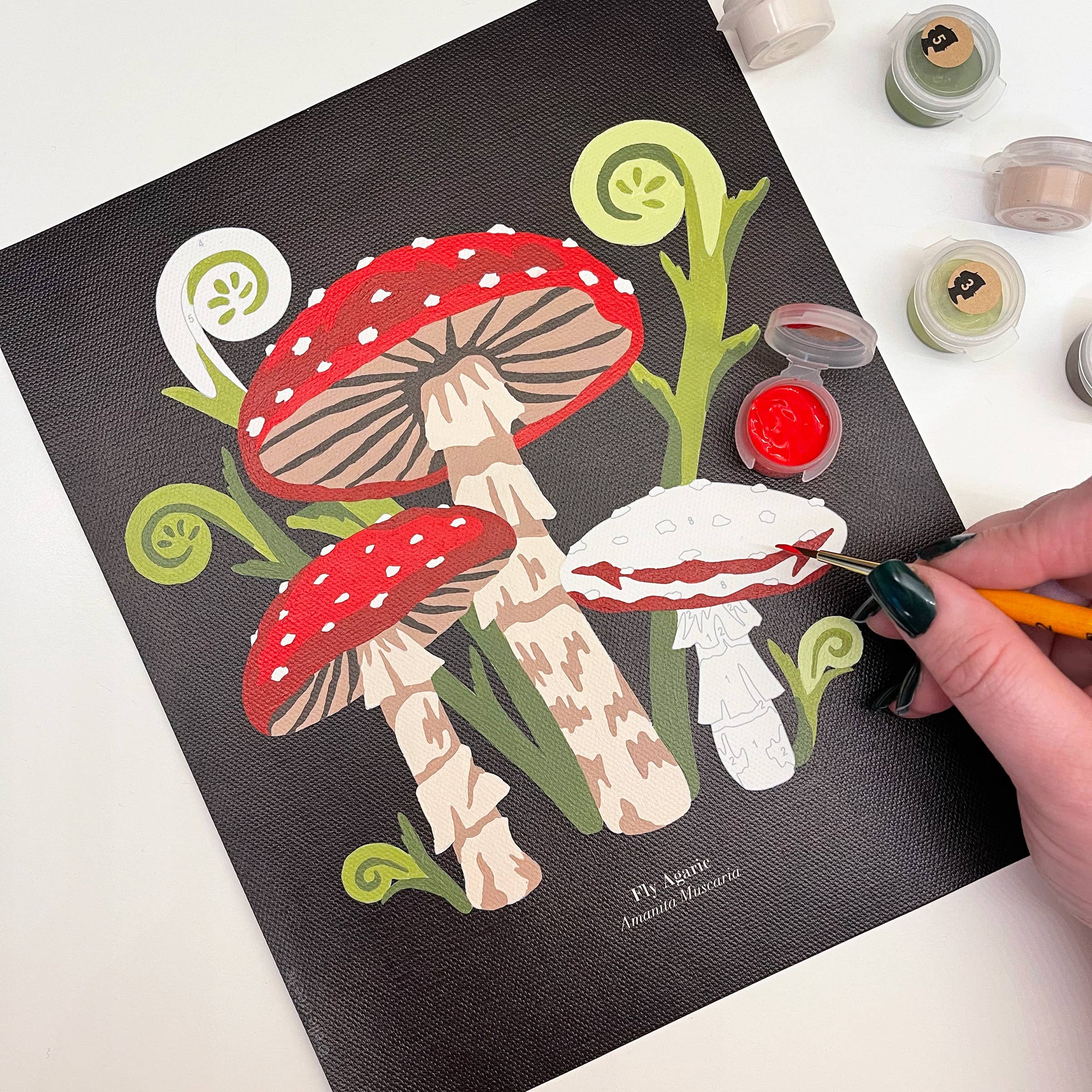 Elle Crée (She Creates) - Vente Kit de bricolage - Kit de peinture par numéro Champignons à l'agaric3