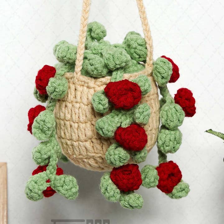 Plante de voiture à suspendre en crochet, cadeau pour les amoureux des plantes, décoration de voiture pour femme pour la vente par TOMOPOD LLC