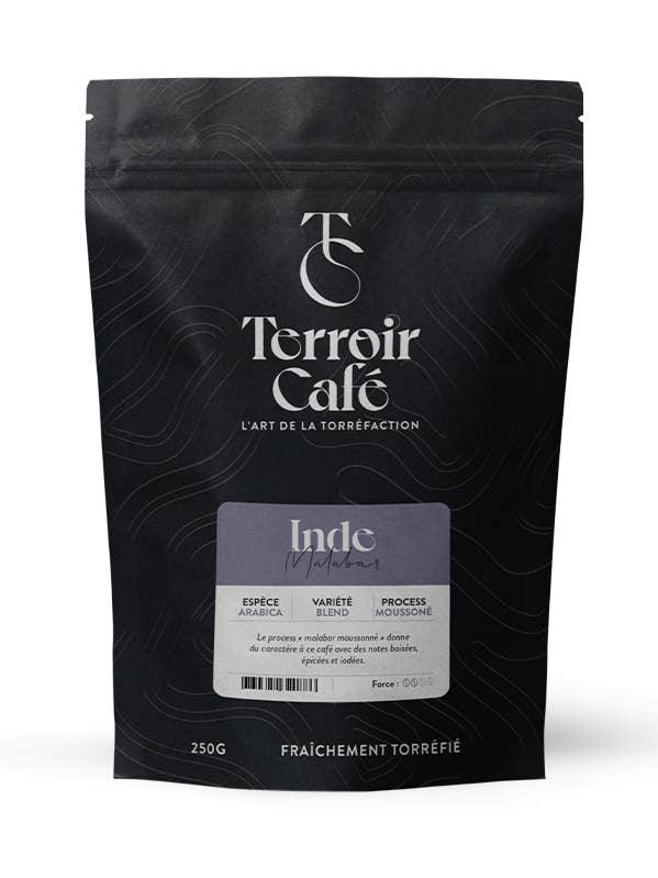 Cafe d'Inde - Malabar for wholesale by Terroir Café