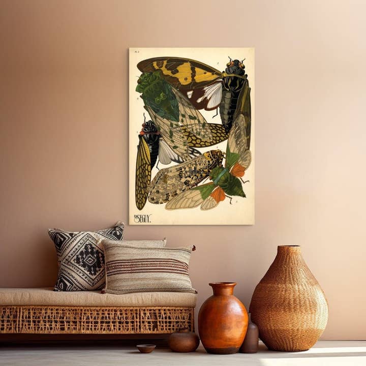 Vintage Wall Graphics - Wholesale Poster - Vintage Cicadas Insect Poster Botanical Wall Art Decor