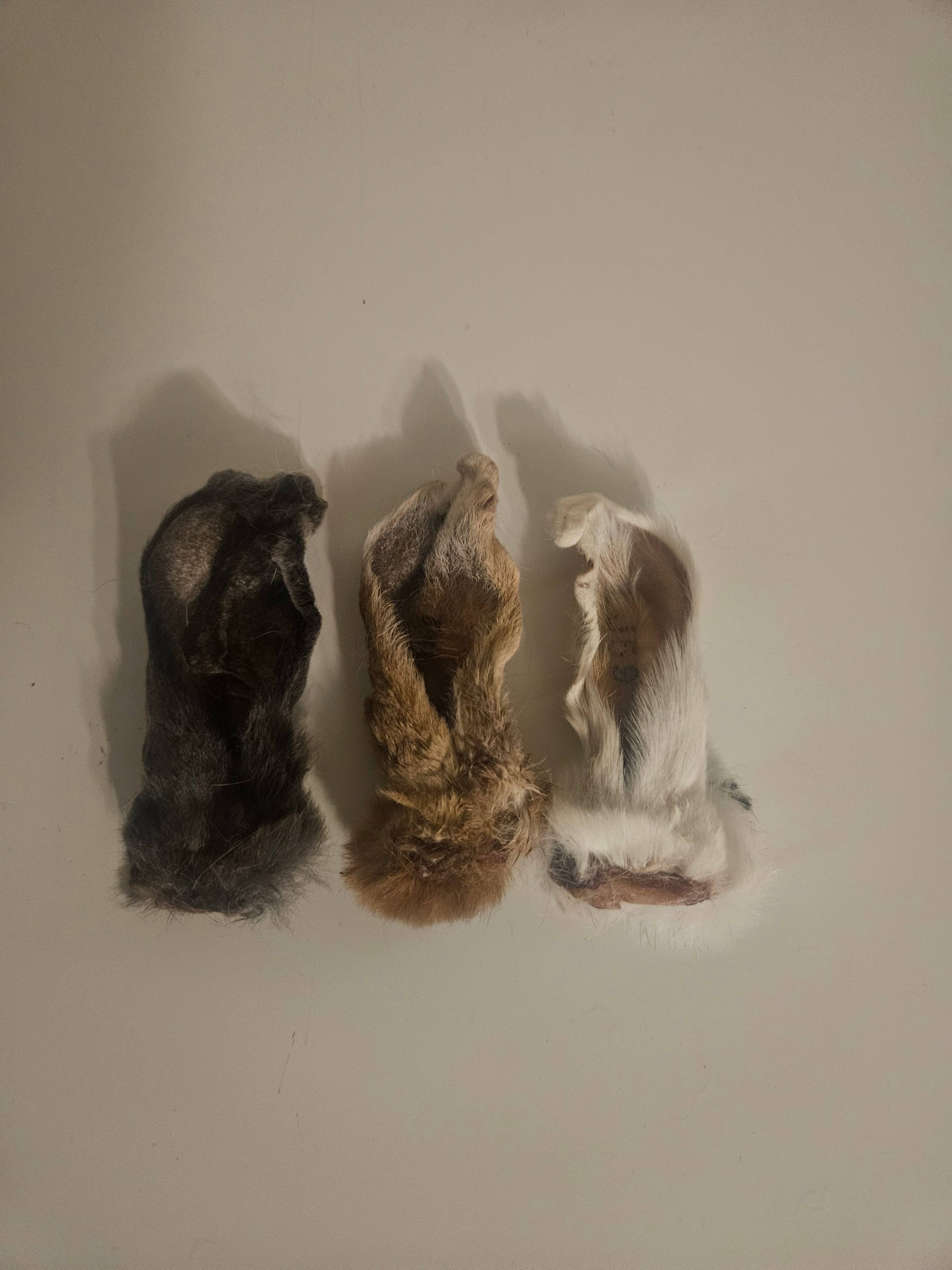 What the raw - Vente Friandises – chien - Oreilles de lapin