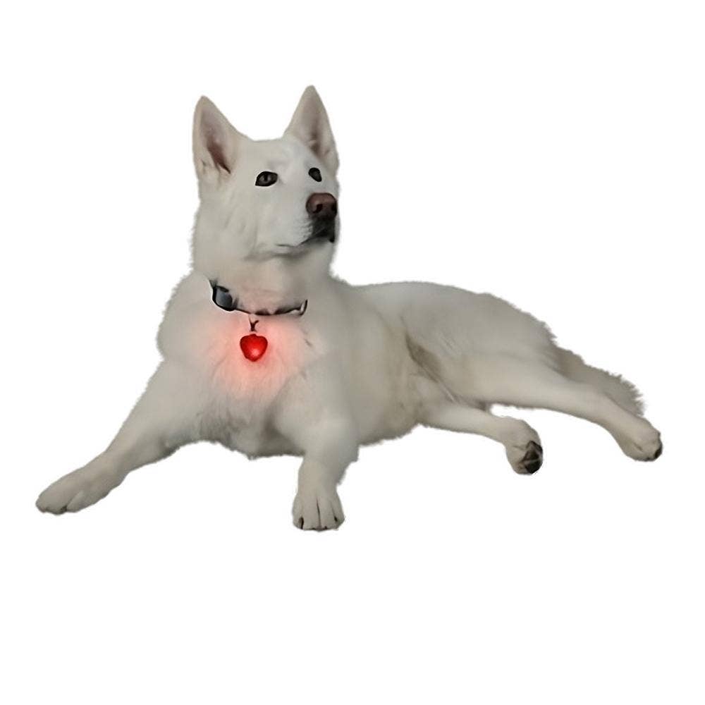 Blinkee.com, LLC - Venta al por mayor Llavero - Unisex - Juego de llaveros de emergencia Red Heart Safety con linterna4