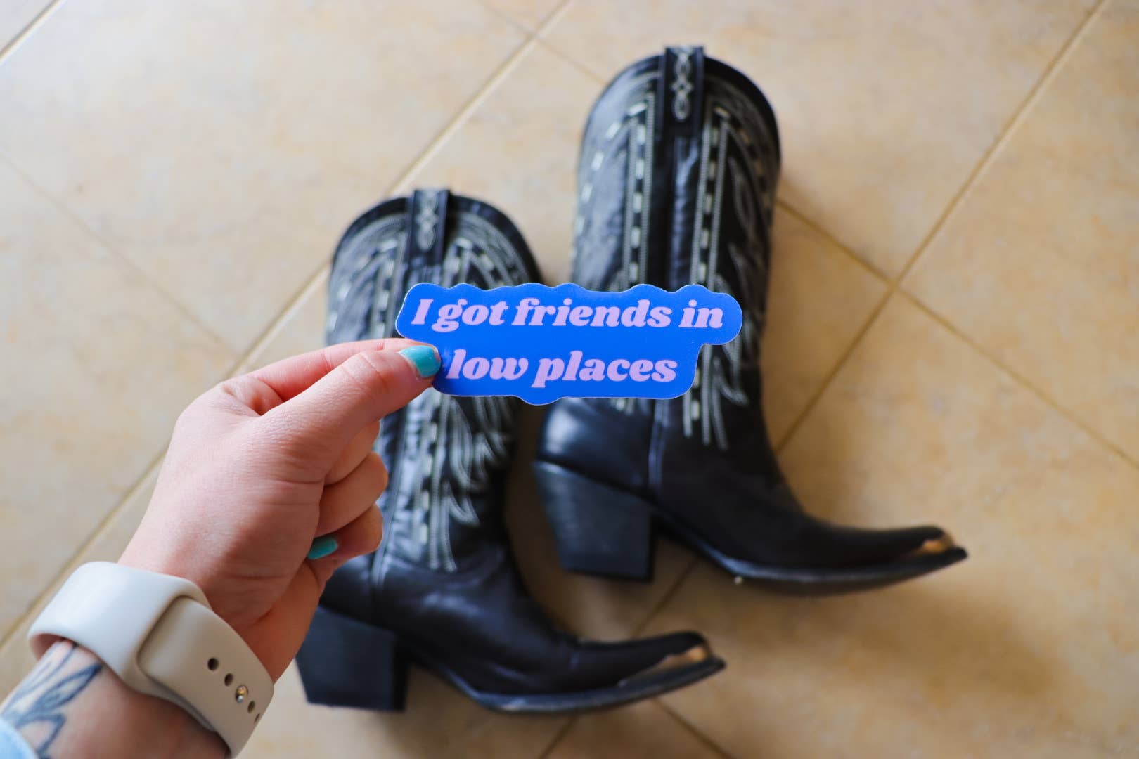 Little Viper Co - Wholesale Sticker - I Got Friends In Low Places Sticker1