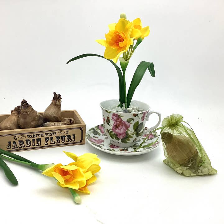 All Little Cute Things - Wholesale Party Favor - Dutch Daffodil Bulb in a Teacup, Garden Tea Party Favors