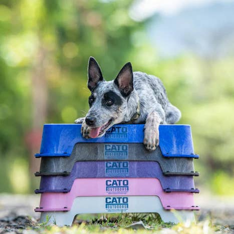 Cato Board Dog Training Platform for wholesale by Helper Dog Boutique