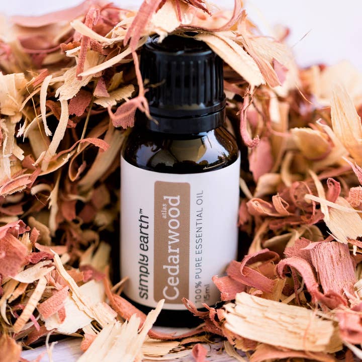 Cedarwood Atlas Essential Oil 15ml for wholesale by Simply Earth