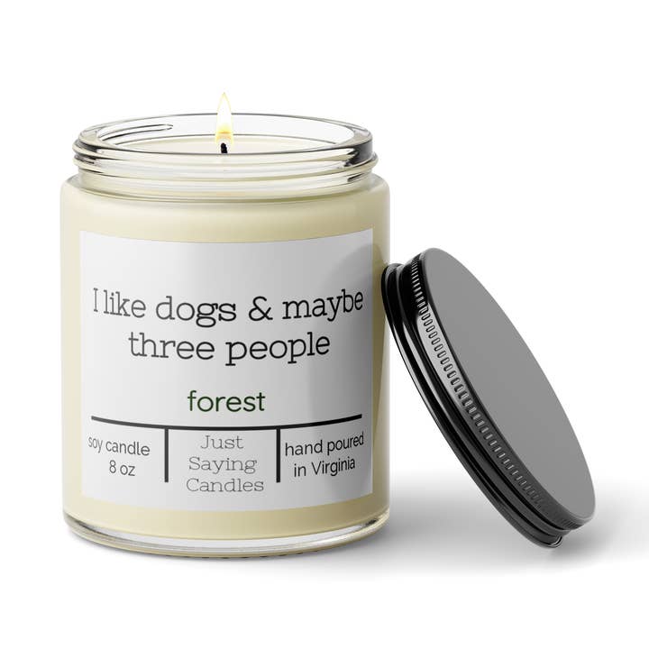 I like dogs & maybe three people | Funny Candle for wholesale by Just Saying Candles
