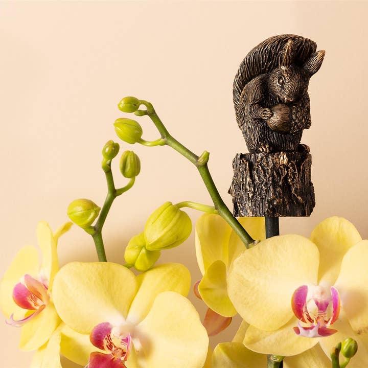 Jardinopia UK - Vente Sculpture - Beatrix Potter Écureuil en forme de canne ou piquet2