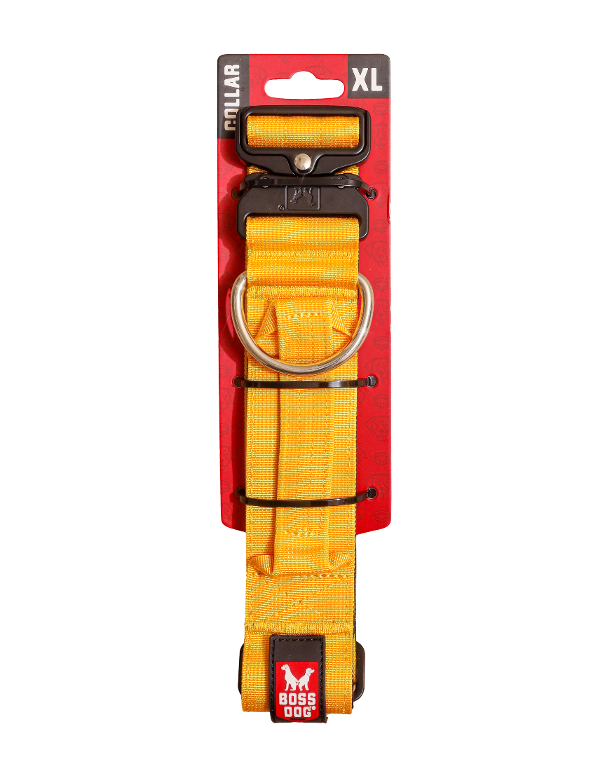 BOSS DOG BRAND, INC. - Wholesale Pet Collar - Dog - Boss Dog Collar64