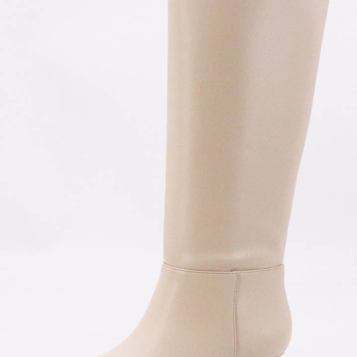 Bamboo BREENA-01 Women Kitten Heel Pointed Toe Knee High Boots-12 Pairs Pack-26.85/Pair for wholesale by Mars Sky Shoes Wholesale