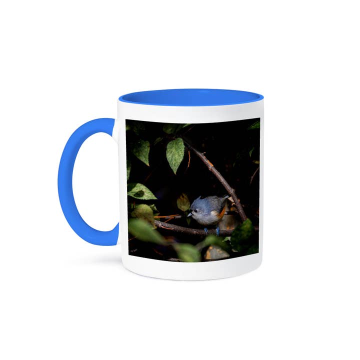 3dRose, Tufted Titmouse Bird Leaves, Mug and other Purchase Wholesale titmouse. Free Returns & Net 60 Terms on Faire trending on Faire.