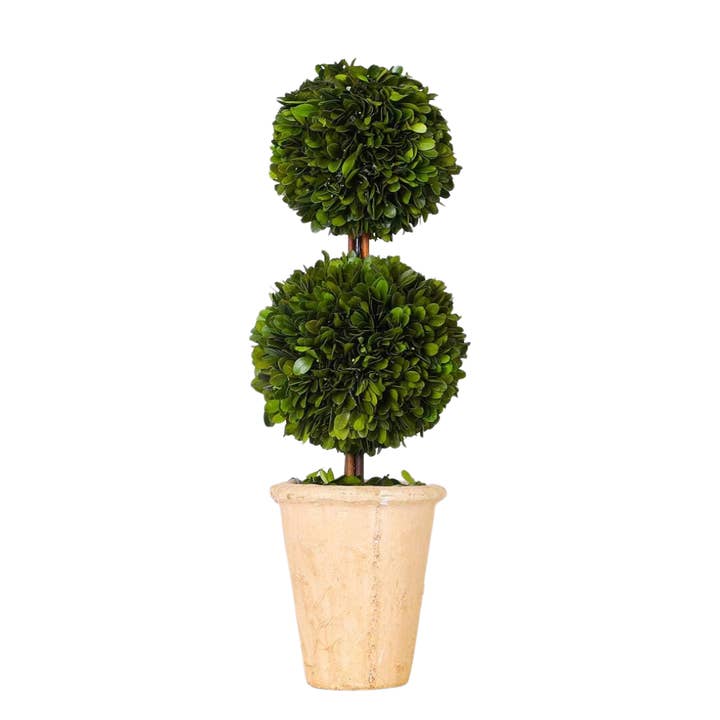 DOUBLE ARBRE TOPIAIRE EN BUIS pour la vente par Mason Maison