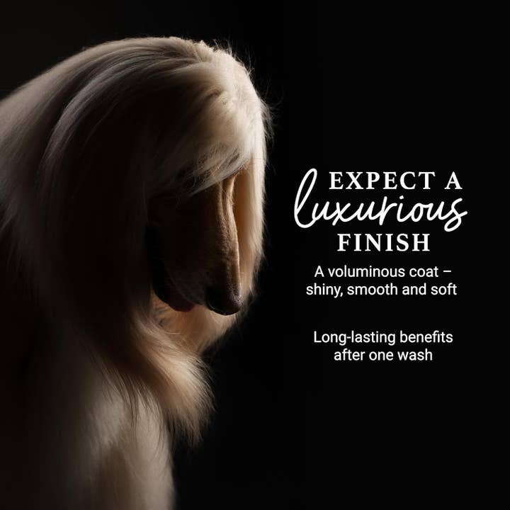 iGroom - Wholesale Pet Shampoo - Dog - Deshedding + Detangling Shampoo 16oz5