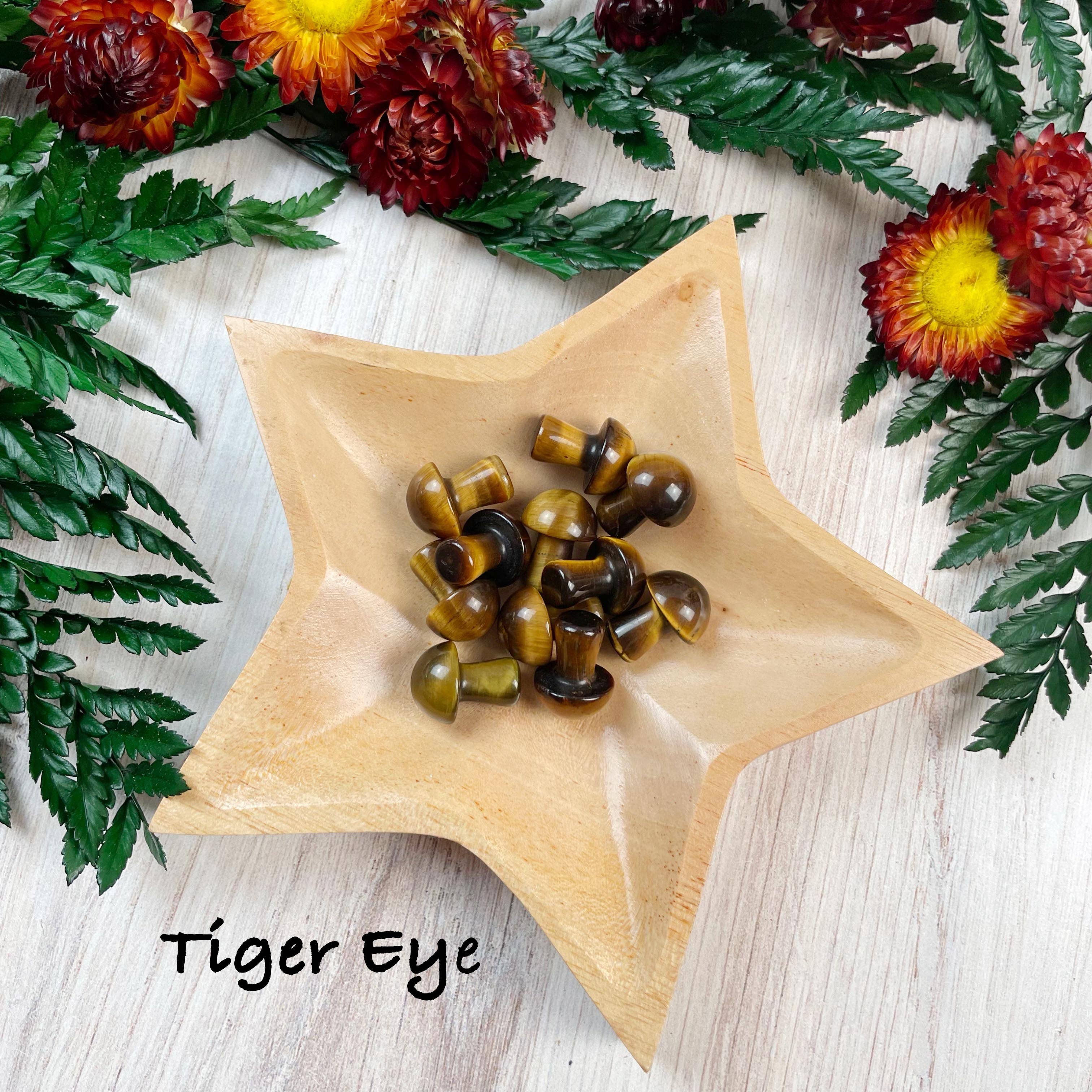 Ewelina Pas Jewelry - Wholesale Spiritual Stone/Crystal - MINI Gemstone Mushroom Pocket Stone13