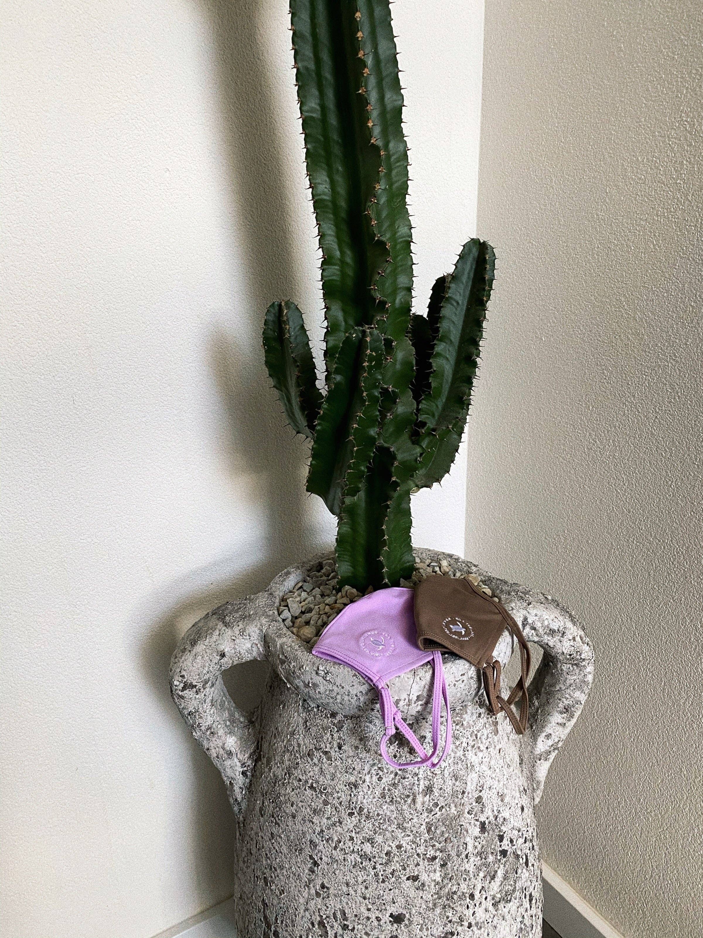 NILA the label - Vendita all'ingrosso Mascherina non chirurgica monouso - MASCHERA VISO CANGGU - LILLA3