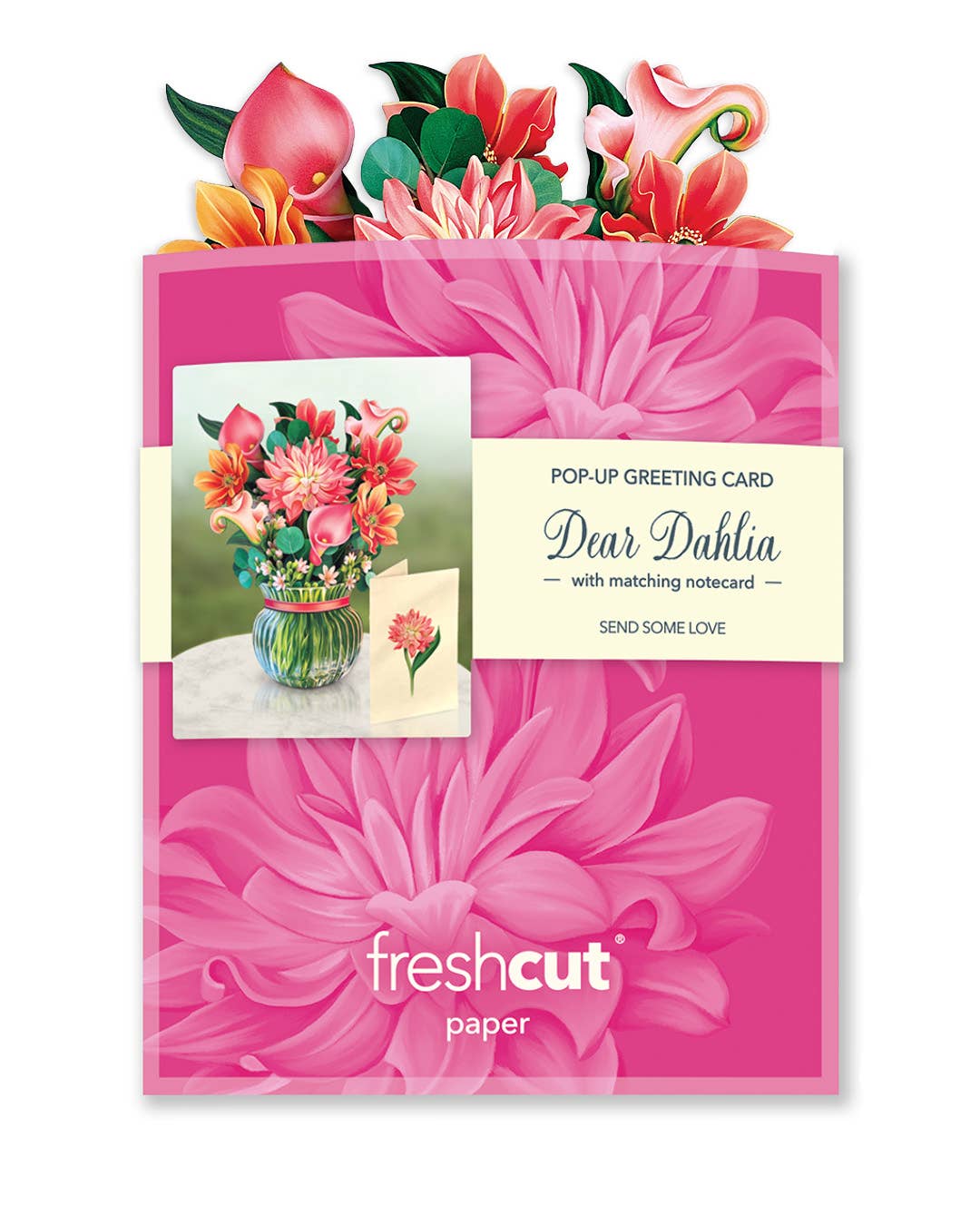 FreshCut Paper LLC - Vendita all'ingrosso Biglietti di auguri generici - Mini Dear Dahlia (10 biglietti di auguri pop-up)7