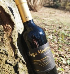 Viñedos y Bodegas Lyng – Engroshandel Rødvin – Reserva D.O.C. rødvin Rioja Vega Medina7
