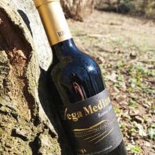 Viñedos y Bodegas Lyng - Wholesale Red Wine - Reserva D.O.Ca. red wine Rioja Vega Medina7