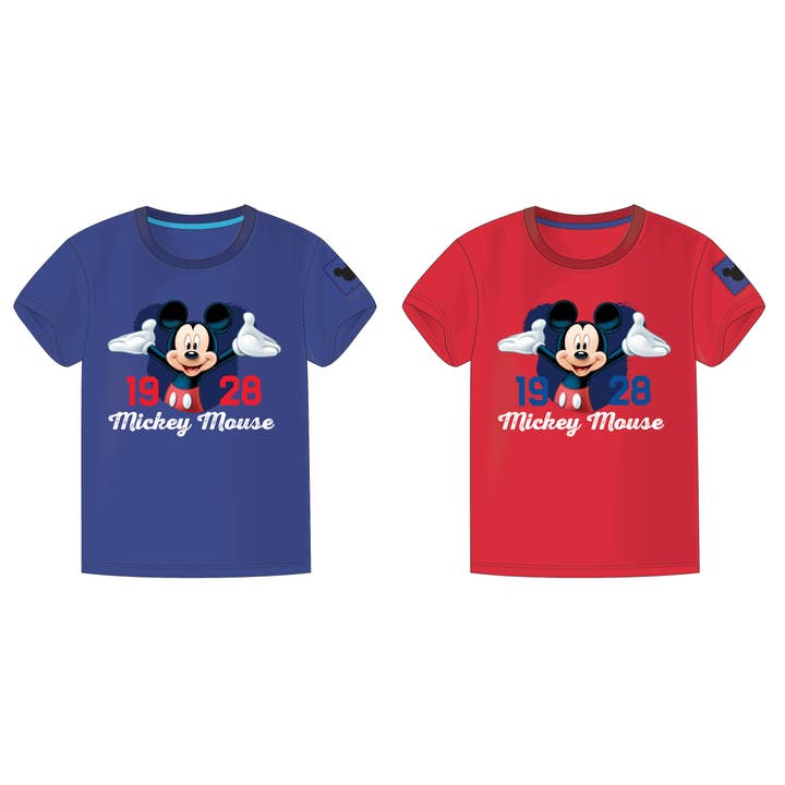 SAFTA - Wholesale Screen Printed T-Shirt - Kids - Surt T-Shirts. 2 Designs 3-8 Years