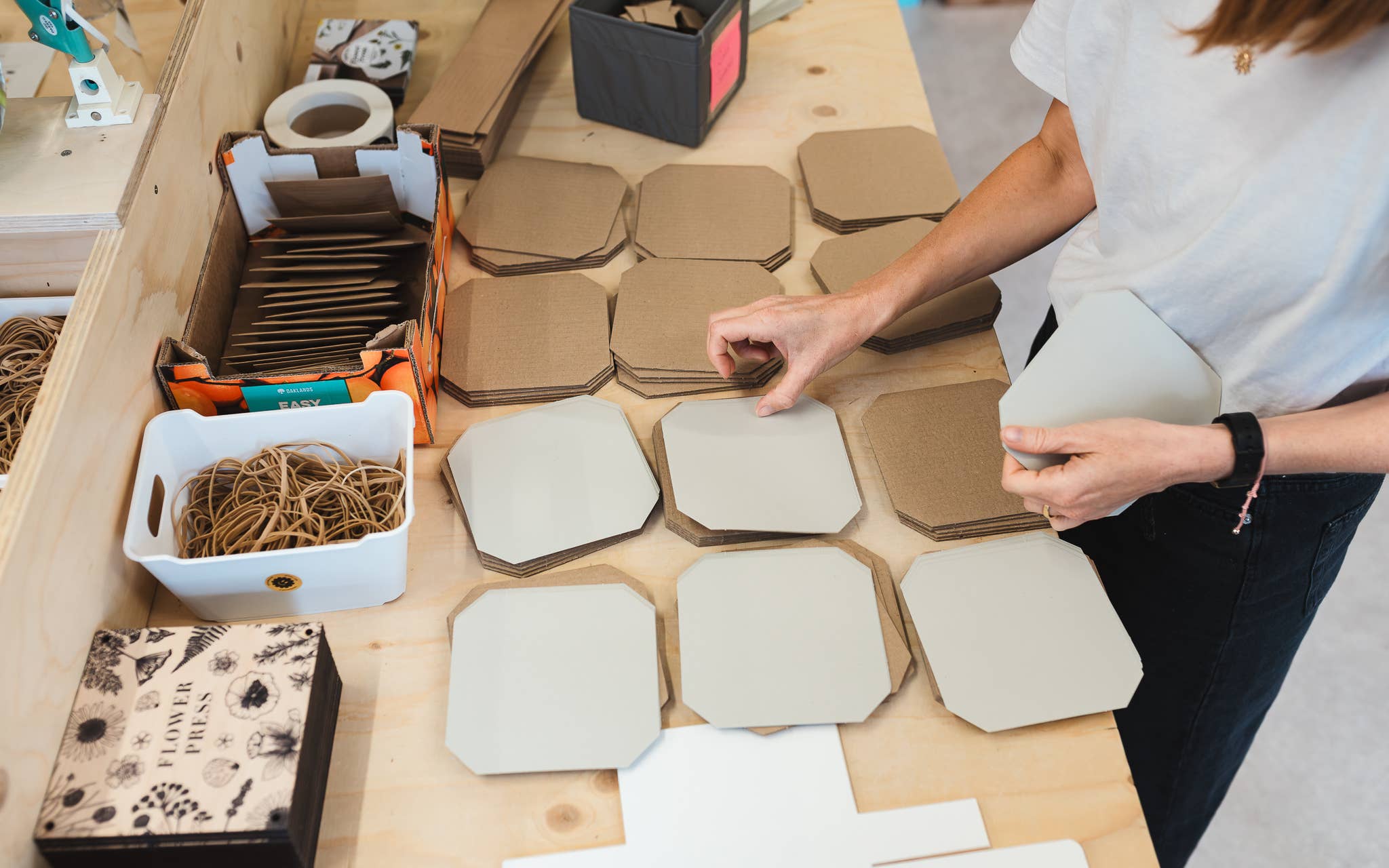 Studio Wald - UK Made – Engroshandel DIY-hobbysæt – Blomsterpresse - Daisy5