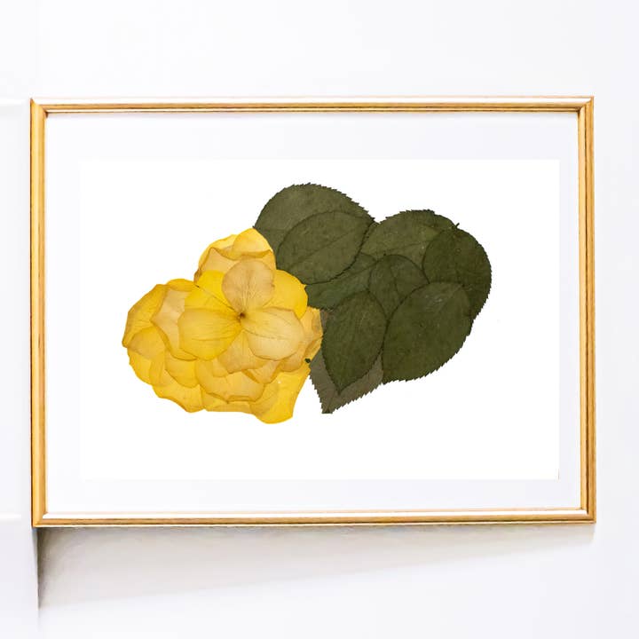 Une impression artistique de rose botanique à tige partagée | Amour de fleurs pressées pour la vente par Mon Petit Chou Art and Design