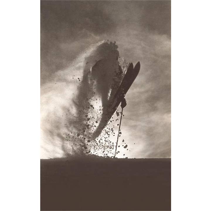Art Print WS-230 Skiing Powder  for wholesale by Found Image Press