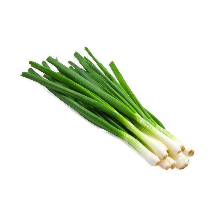 Bentley Seed Co. - Wholesale Plant Seeds - Onion, Evergreen Bunching Seed Packets2