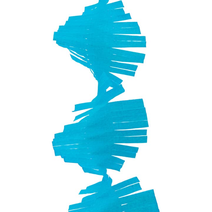 Frolic and Frills - Wholesale Party Sign/Banner - Fringed Crepe Streamers (sets of 3)8