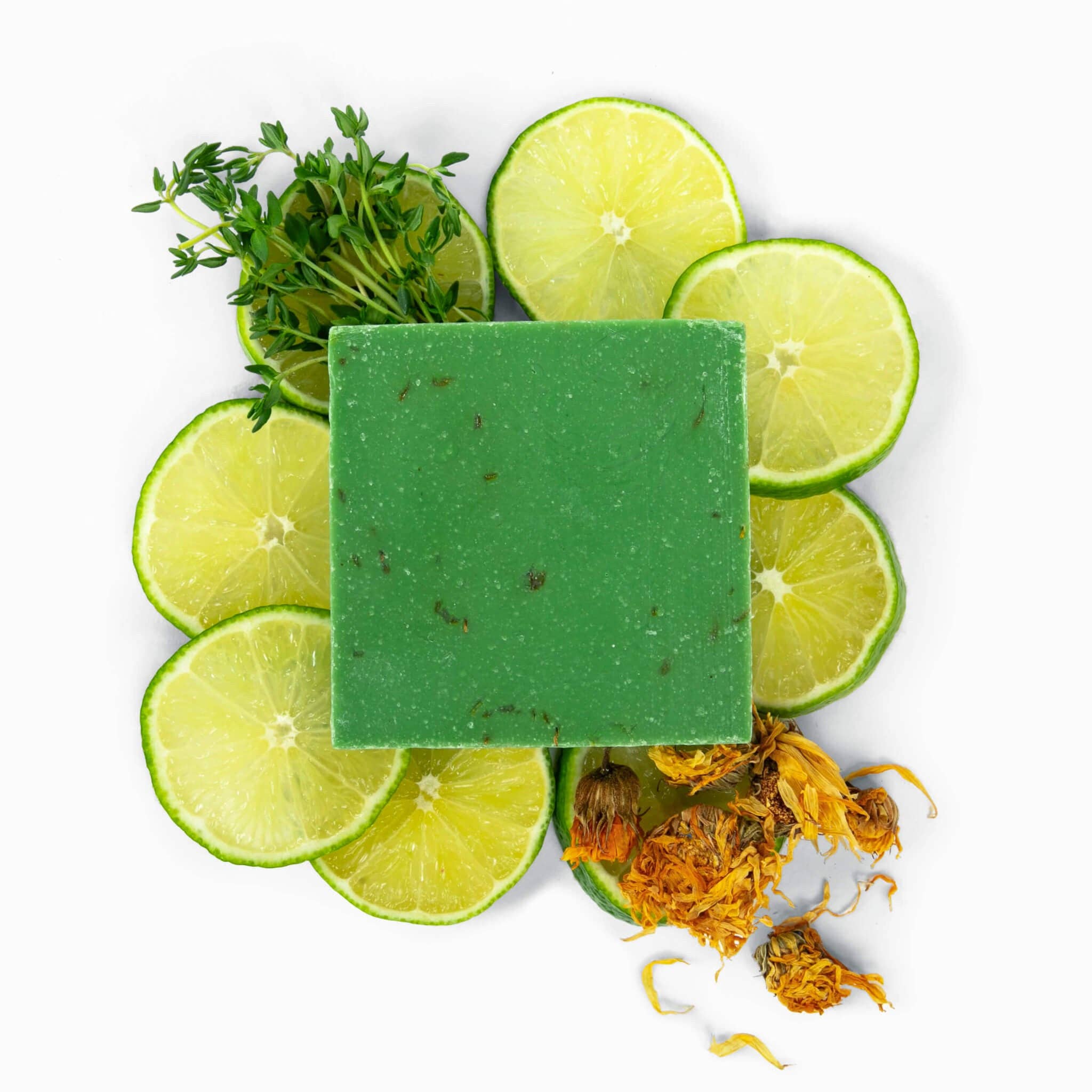 FORESTBORN - Wholesale Bar Soap - Lime & Thyme Twister1