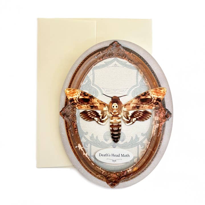 Death Head Moth Oval Greeting Card for wholesale by Moth and Myth