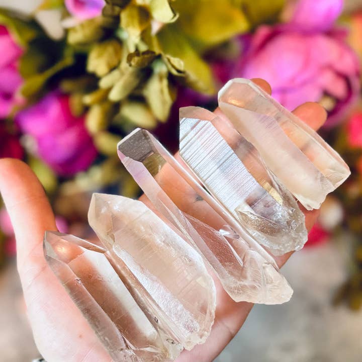 Lemurian Quartz Points, Lemurian Seed Quartz and other Purchase Wholesale lumerian crystal. Free Returns & Net 60 Terms on Faire trending on Faire.