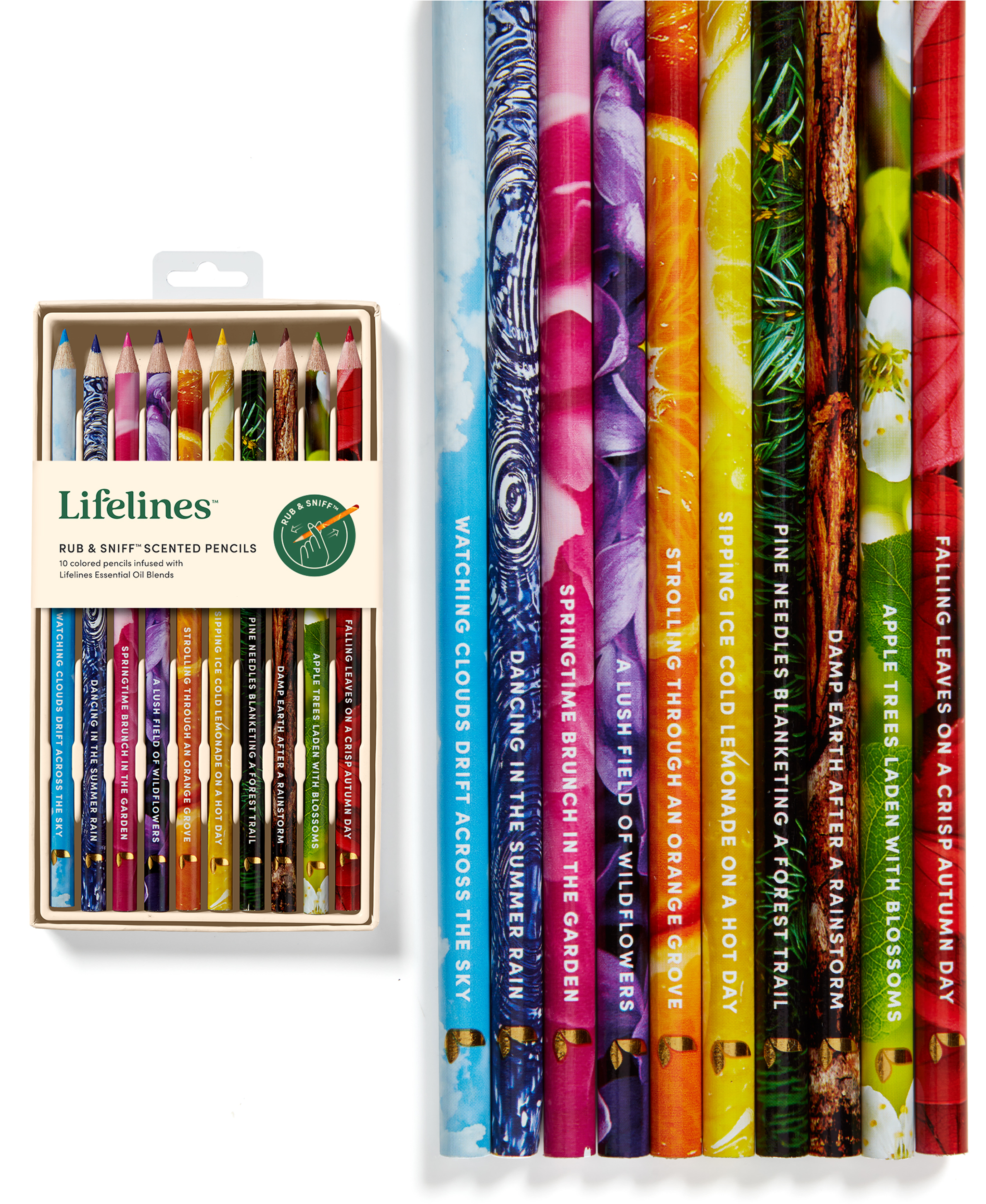 Lifelines - Wholesale Colored Pencil - Lifelines Rub & Sniff™ Scented Colored Pencils - 10-pack7