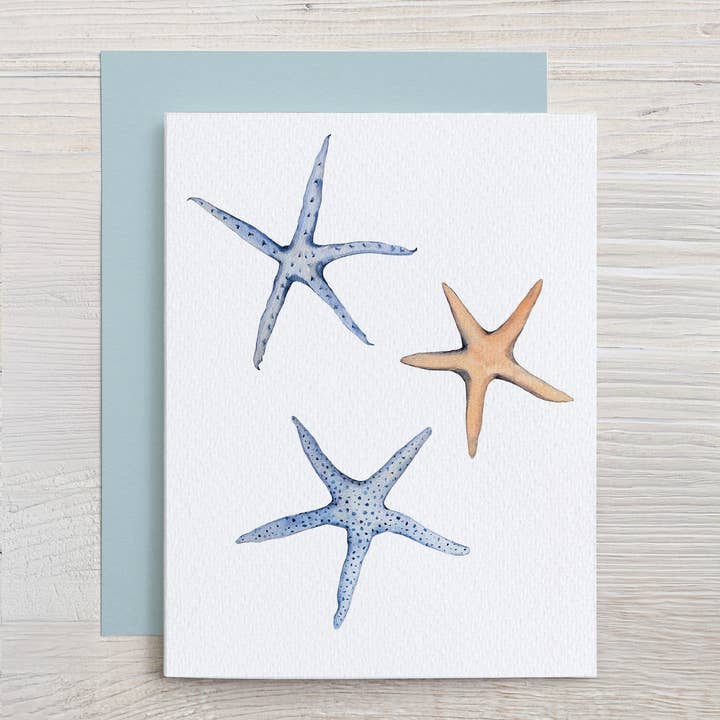 Waterline Studio - Wholesale Stationery/Notecard Set - Beachcomber Note Card Set (Sand Dollars, Sea Urchins, Starfish)3