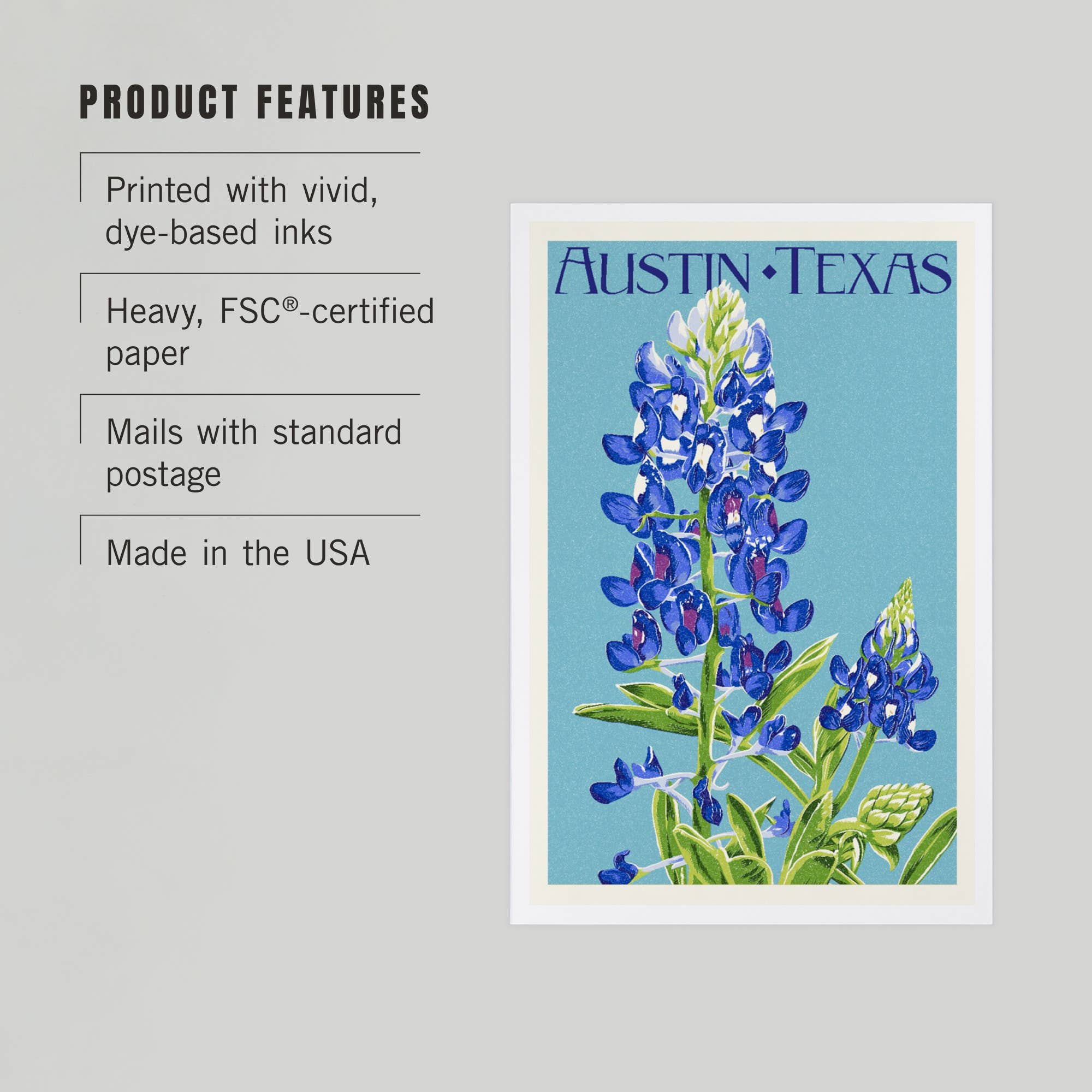 Lantern Press - Wholesale Postcard - PREMIUM POSTCARDS Austin, Texas, Bluebonnet, Letterpress2