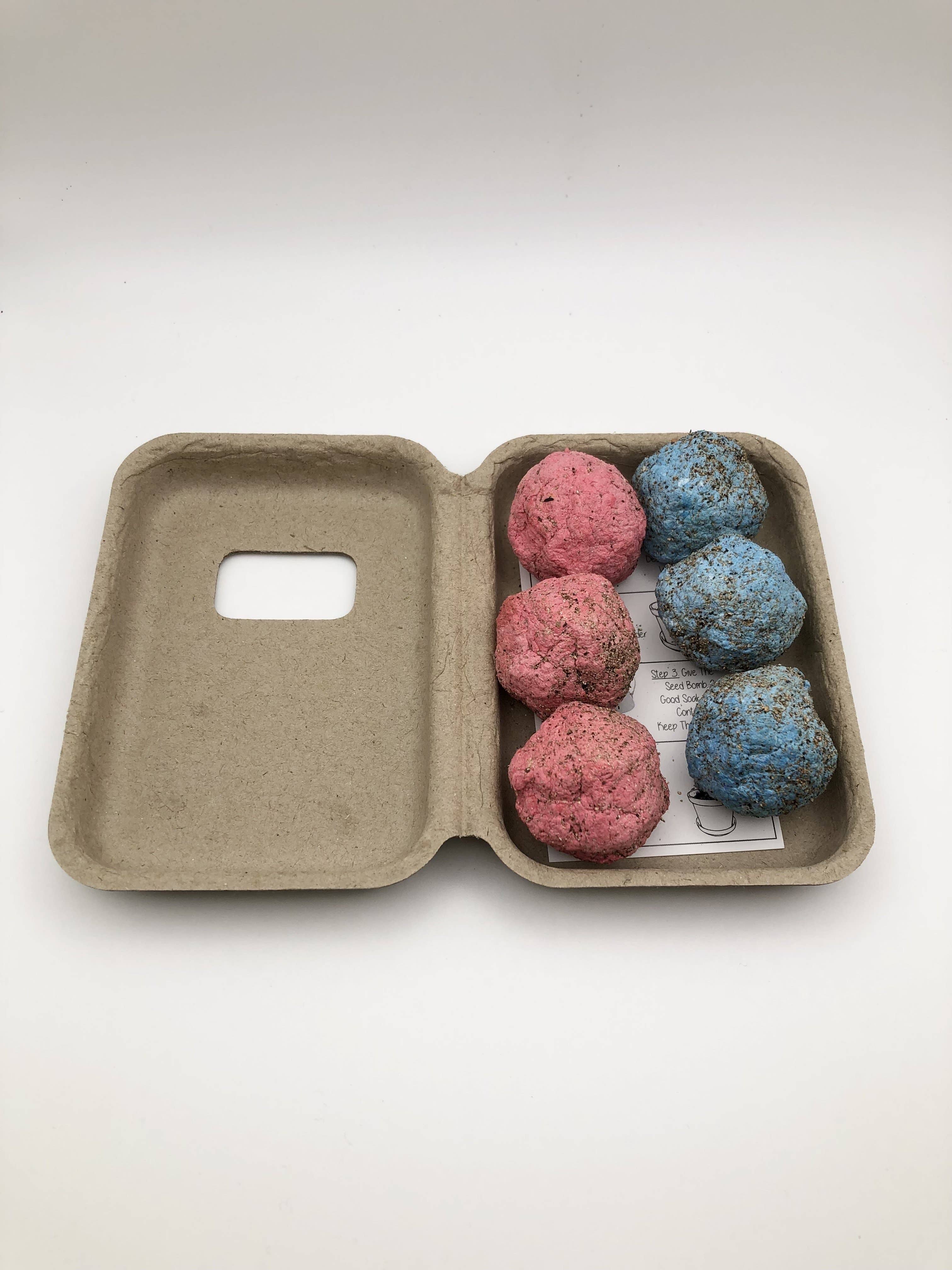 Almas And Co – wholesale Plant seeds – Wildflower Seed Bomb Box4