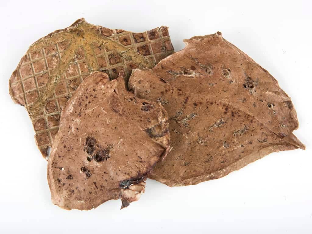 Loyalty Pet Treats - Wholesale Pet treats – Dog - Lamb Puff - (200g, 400g, 1kg)1