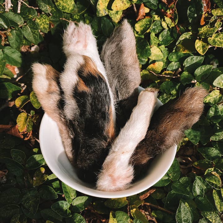 Wild n Fresh Treats - Wholesale Pet Treats - Dog - Dehydrated Rabbit Feet6