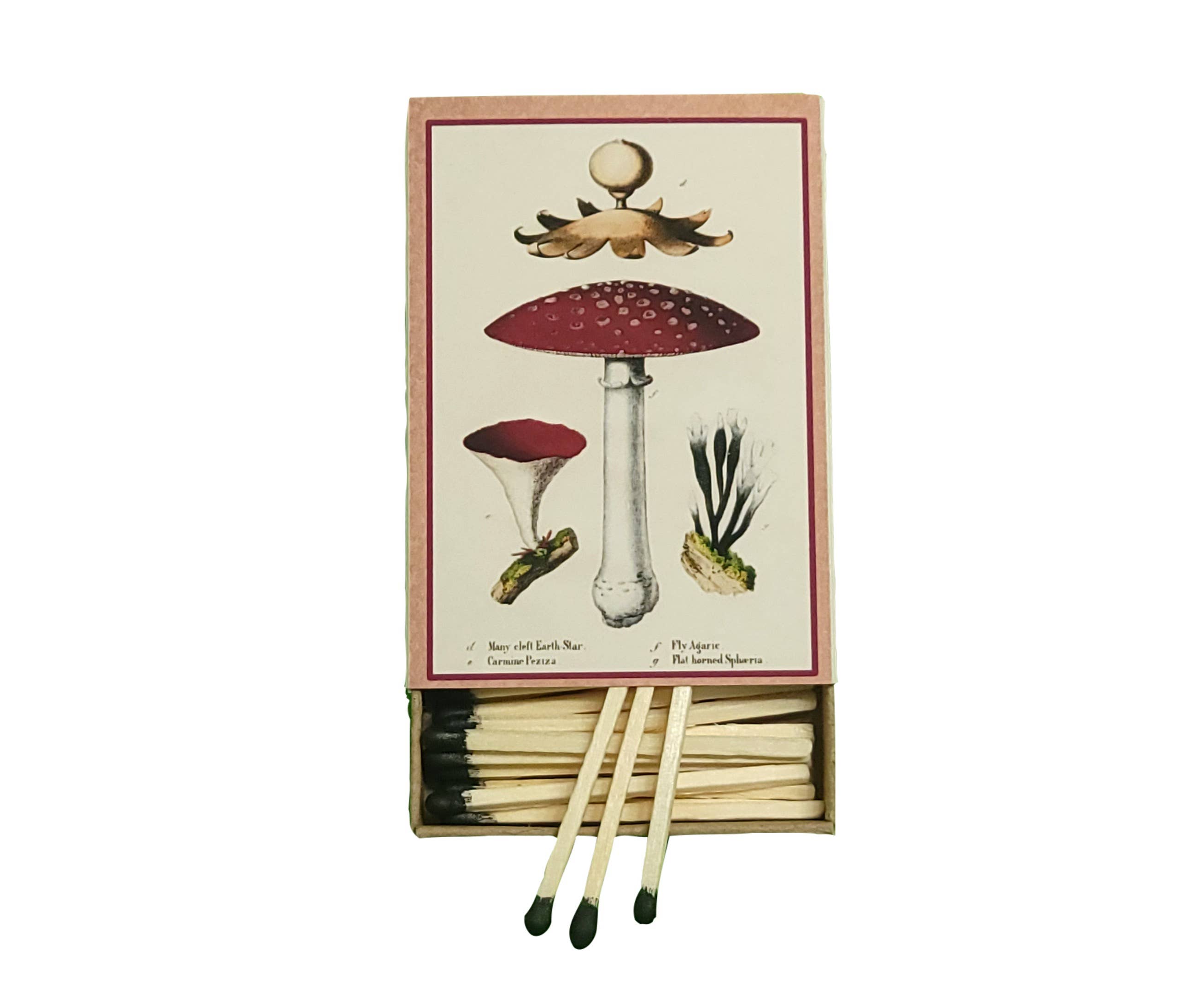 Superior Dry Goods - Wholesale Matches - "Mushrooms!" Handmade Decorator Matchbox Lot2