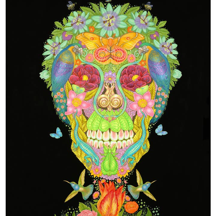 Pomegranate - Wholesale Stationery/Notecard Set - Day of the Dead: Tino Rodriguez & Virgo Paraiso Boxed Notecard Assortment
