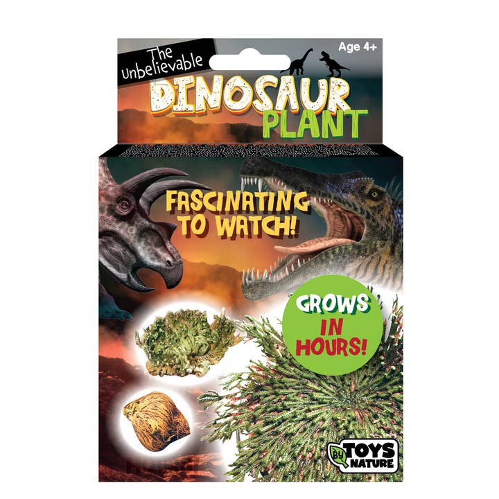 Silver Circle Products - Wholesale Plant Seeds - Dinosaur Plant