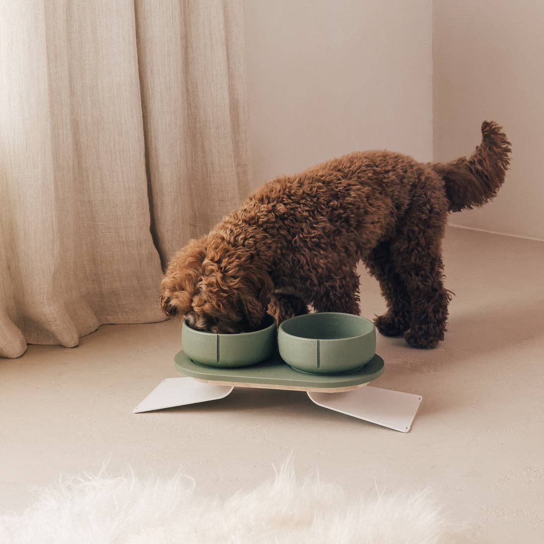 PINO - Wholesale Drinkbak - Kat/Hond - Trays voor honden44