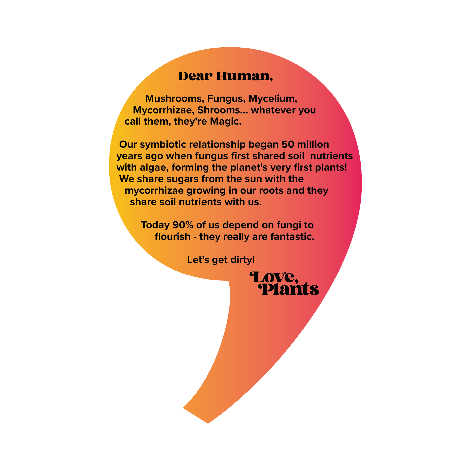 Love, Plants – wholesale Fertiliser – Magic Mushroom Compost3