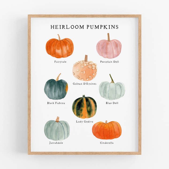 Heirloom Pumpkins Art Print for wholesale by May We Fly