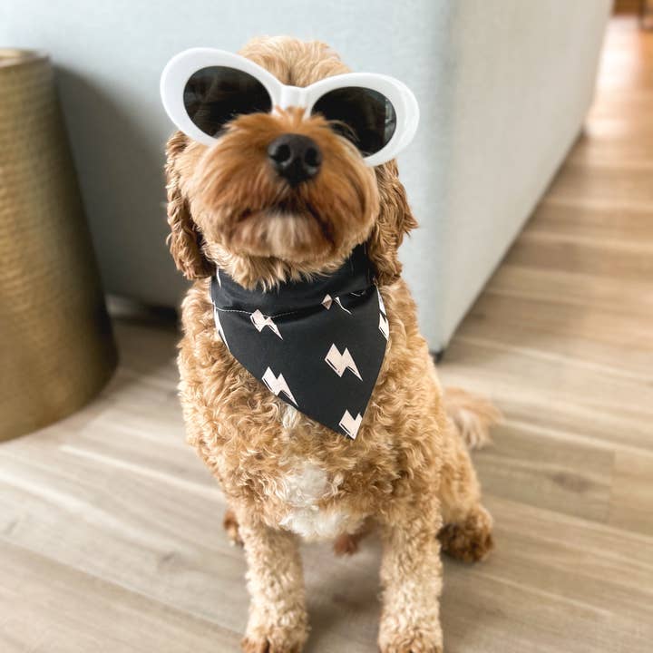 Briggs & Rory - Wholesale Pet Bandana - Dog - Lightning Bolt Dog Bandana2