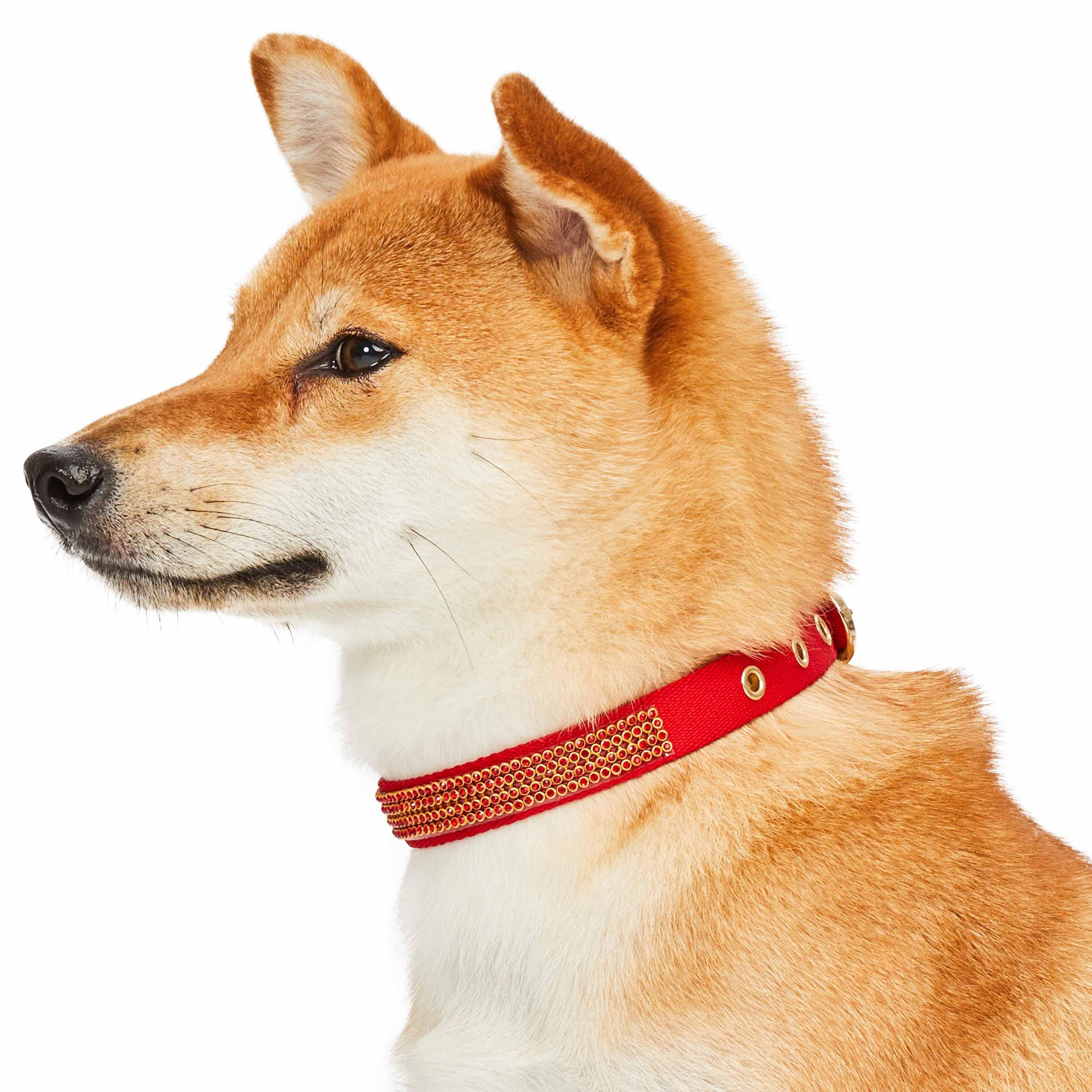 Blueberry Pet - Wholesale Pet Collar - Dog - 4 Colors, Bling Crystal Rhinestone Dog Collars13