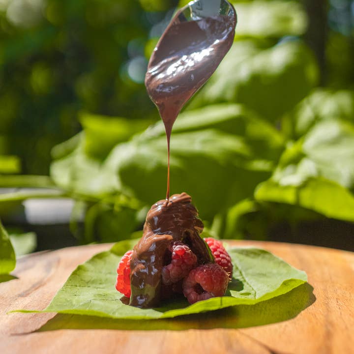 PRIMO BOTANICA CHOCOLATE - Wholesale Nut Butter - NOOTELLA SPREAD (WITH NOOTROPIC FUNGI)
