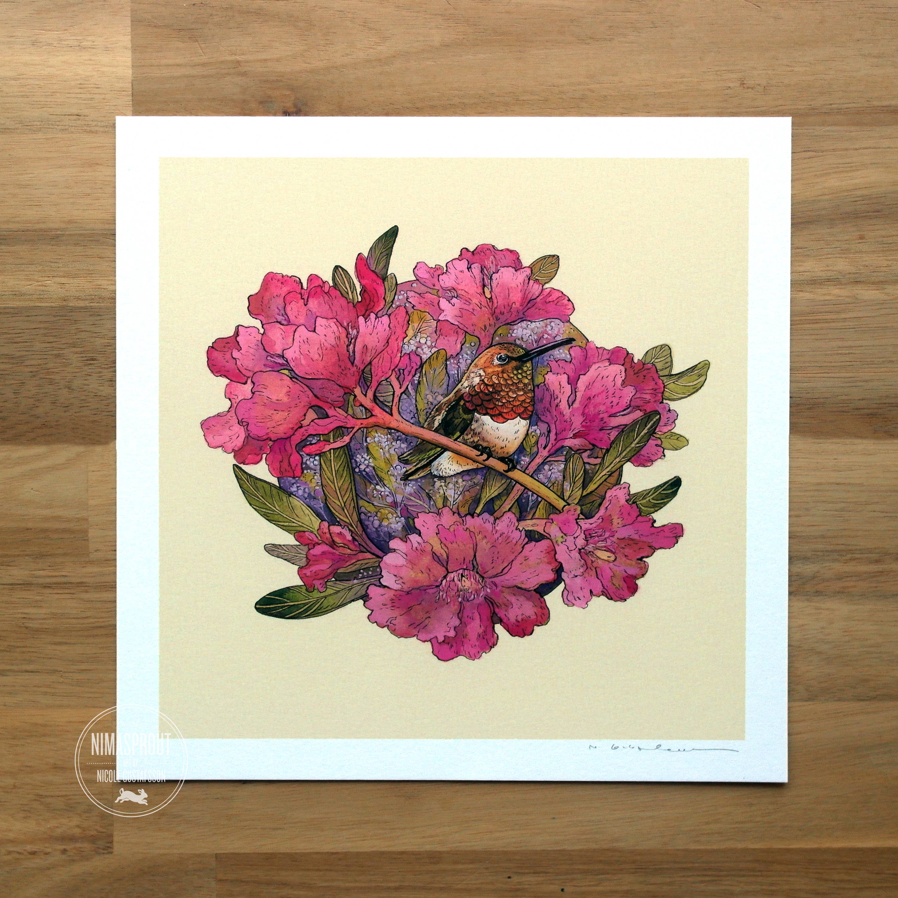 Nimasprout - Wholesale Art Print - Hummingbird - Fine Art Print1