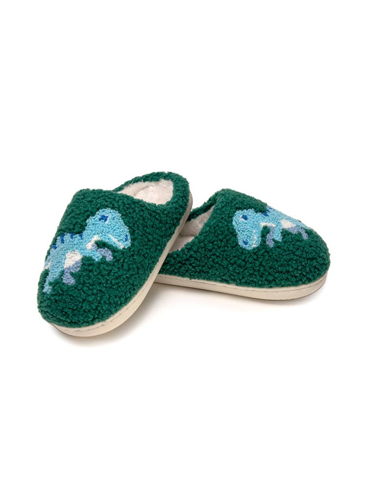 Living Royal - Wholesale Slippers - Kids - Indoor / Outdoor Slippers - Kids - Blue Dinosaurs - Green2