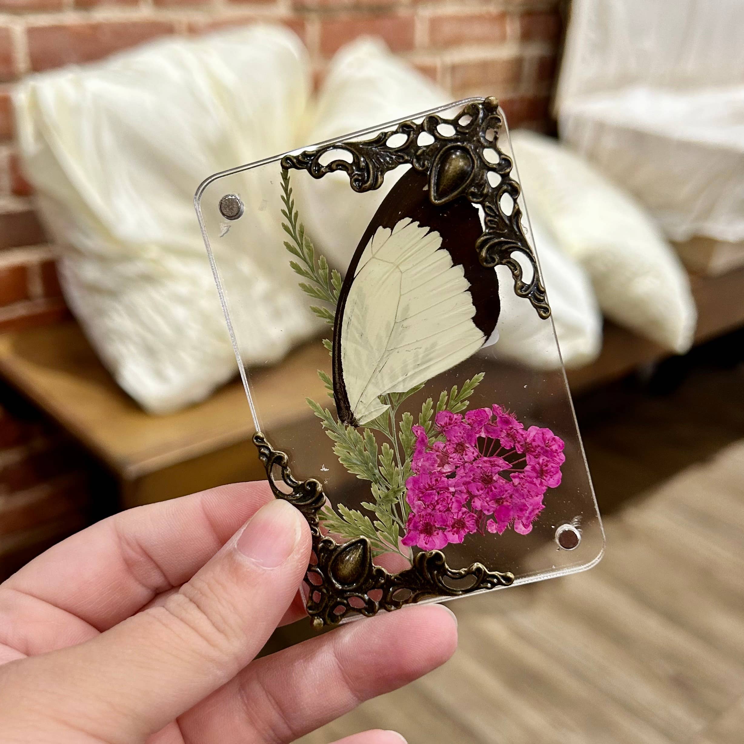 Mz. Jones’ Curio, Inc. - Wholesale Magnet - Butterfly Wing Magnets5