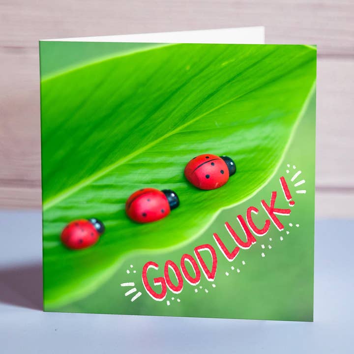 Lycka till kort ”Nyckelpigor” - 5010 för wholesale av FairMail